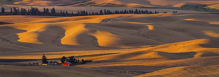 Red Barn and First Morning Light on the Palouse from Steptoe Butte State Park